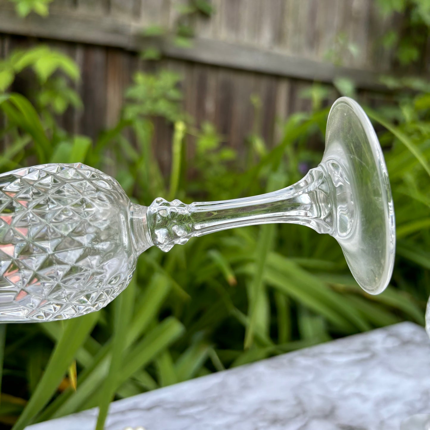 Pair of Cristal D’Arques Longchamp Champagne Flutes
