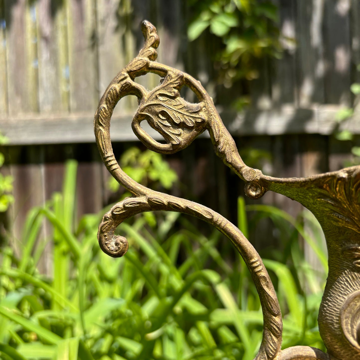 Classical Italian Brass Lion Pitcher With Handle